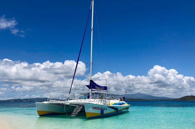 Day Sail without transportation - Snorkeling with parrot fish and butterfly fish