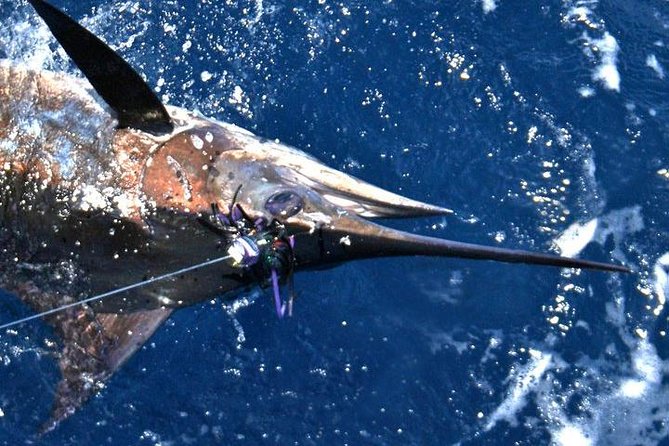 Deep Sea Fishing Private Boat Charter in San Juan - Matching the season to your target fish