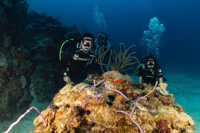 Discover Culebra: 2-Tank Scuba Diving - Key points to know before you book