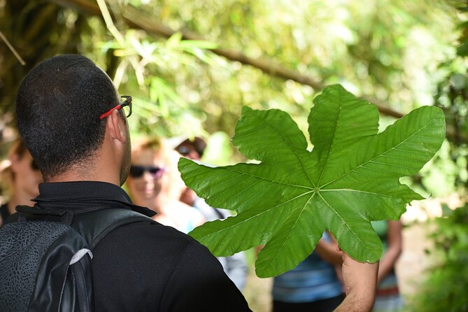 Discover El Yunque National Park: Half-Day Rainforest Tour - What the guide adds to the experience