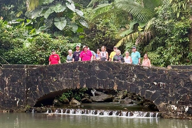 Discover El Yunque National Park: Half-Day Rainforest Tour - Transportation is convenient, but the van matters
