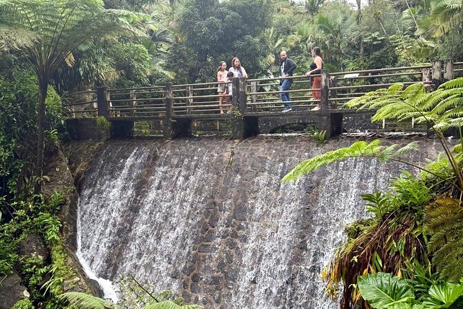 Discover El Yunque National Park: Half-Day Rainforest Tour - Is $115 a fair price?