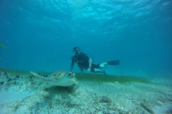 Discover Fajardo: 2-Tank Scuba Diving - What this Fajardo scuba trip really offers