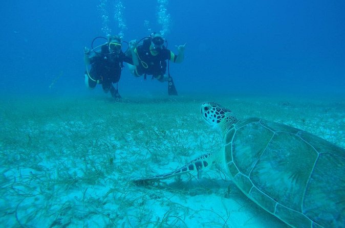 Discover Fajardo: 2-Tank Scuba Diving - The first session: personal instruction in the sea