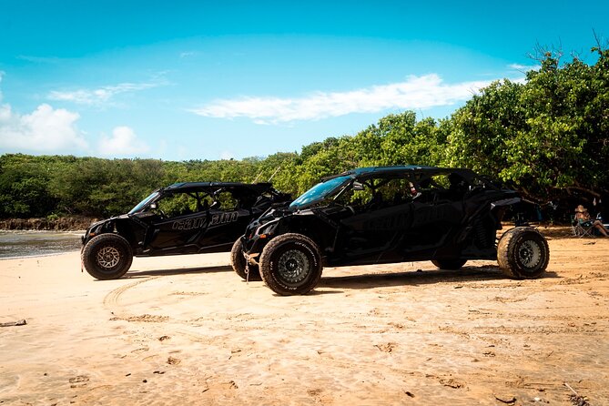 Discover Puerto Rico Like a Local 4 Hour Private Beach Escape - What this four-hour coastal outing really offers