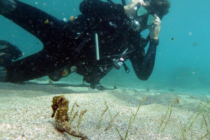 Discover Scuba Diving in San Juan - About 45 minutes among fish, reefs, and underwater ruins