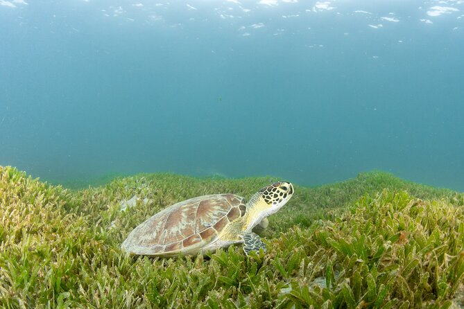 Discover Scuba Diving in San Juan - Facilities that make the two-hour visit easier