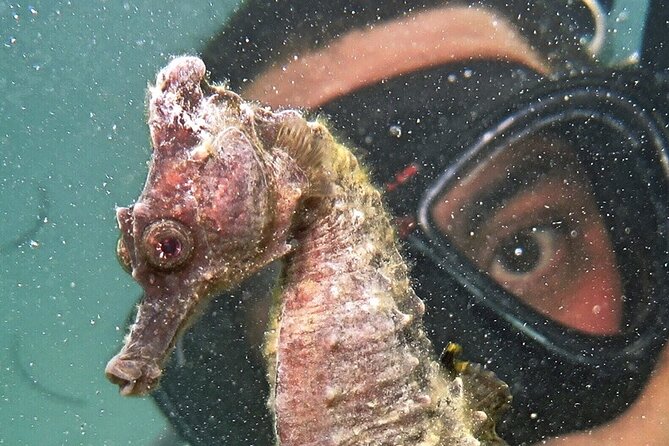 Discover Scuba Diving in San Juan - What the experience feels like for a nervous first-timer