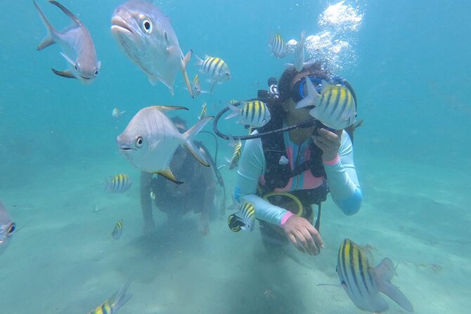 Discover Scuba Diving in San Juan: Perfect for First-Time Divers - Starting at the Caribe Hilton beach entrance