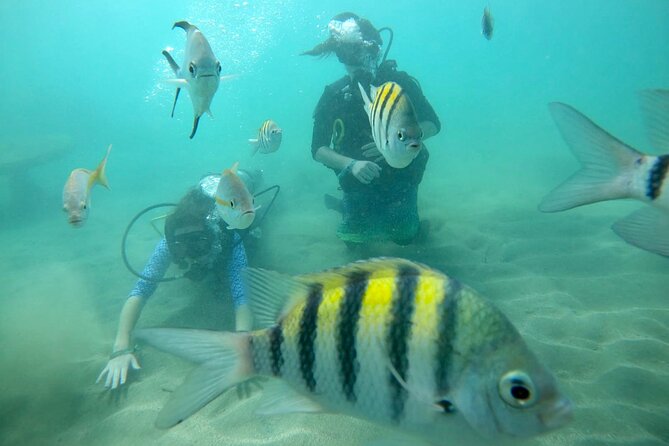 Discover Scuba Diving in San Juan: Perfect for First-Time Divers - Which instructor style may suit you