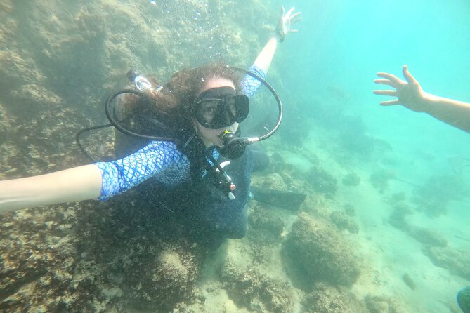 Discover Scuba Diving in San Juan: Perfect for First-Time Divers - Who should book this San Juan activity