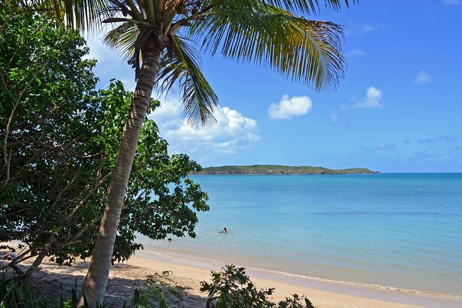 Discover Scuba Diving in San Juan: Perfect for First-Time Divers - Should you book this scuba introduction?