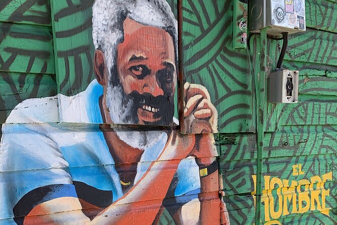 Discovering Puerto Rico: Lifestyle, Art, and Cultural Tour - Who will get the most from this tour