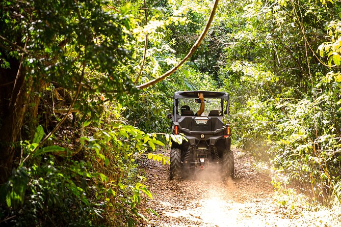 Dos Mares and Rainforest UTV Adventure Tour in Fajardo - Guides, safety, and the group setup