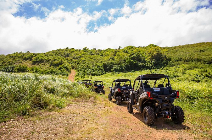 Dos Mares and Rainforest UTV Adventure Tour in Fajardo - Is $194 a fair price for two people?
