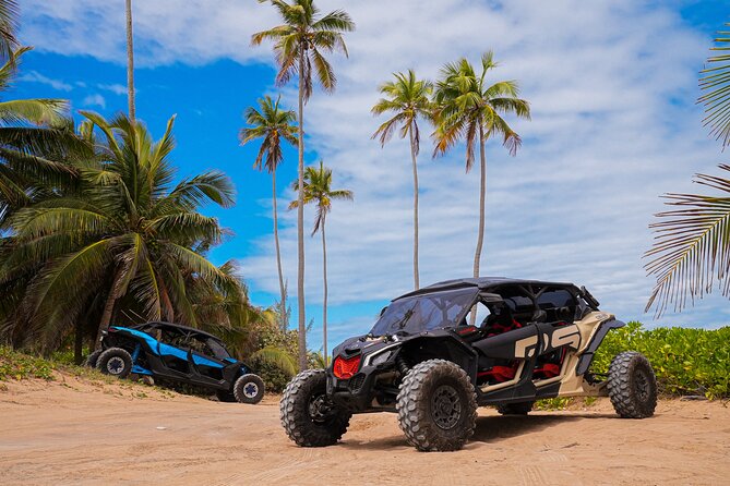 Drive a UTV Can-Am on a Beach Tour in San Juan Puerto Rico - Piñones: Beach Roads and Puerto Rican Food