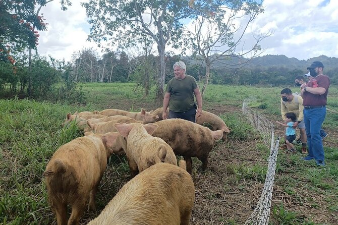 Eco Friendly Farming Tour to Explore Dorado's Most Beautiful Farm - Who will enjoy this farm tour most