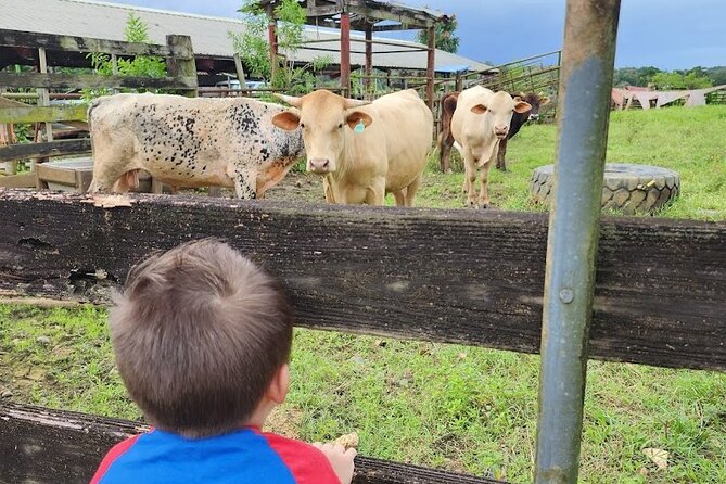 Eco Friendly Farming Tour to Explore Dorado's Most Beautiful Farm - Is $20 a good value?