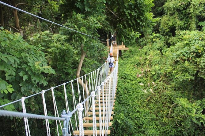 El Yunque Adventure Trail - Key points at a glance