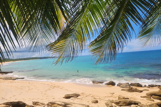 El Yunque & Beach Tour: Waterslide, Waterfall, Food, & Photos - Key points to know before you book