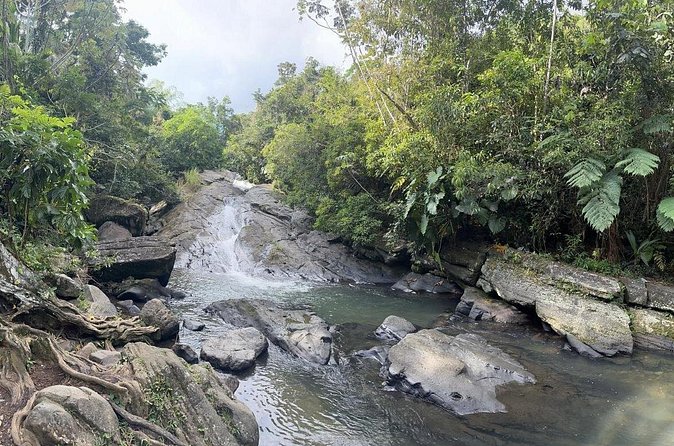 El Yunque & Beach Tour: Waterslide, Waterfall, Food, & Photos - Rain, safety, and the right fitness level