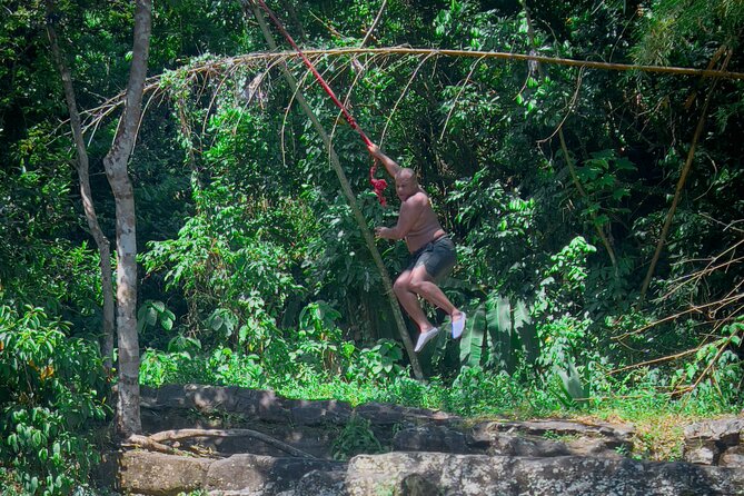 El Yunque Hike, Waterslide & Luquillo Kiosks Food with Transport - What the rainforest guide adds