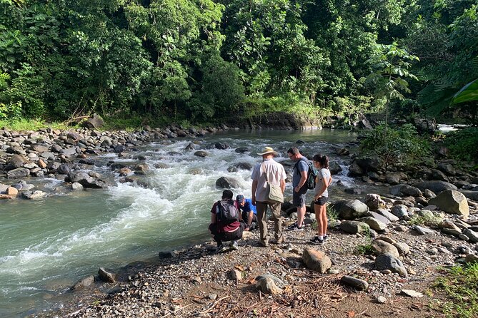 El Yunque National Forest and Luquillo Beach Combo - What this six-hour Puerto Rico outing actually delivers
