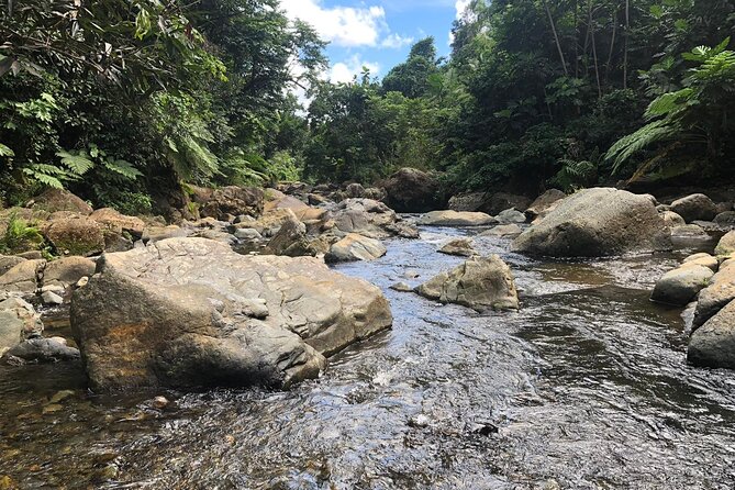 El Yunque National Forest and Luquillo Beach Combo - Luquillo Beach and the kiosks: two hours to eat, swim, or browse