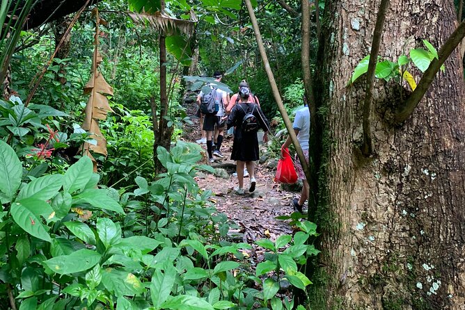 El Yunque National Forest and Luquillo Beach Combo - Yokahú Tower: the best first look at El Yunque