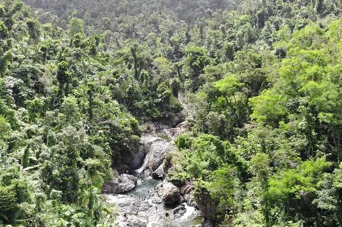El Yunque National Forest and Luquillo Beach Tour - La Coca Falls is short on time but big on scenery