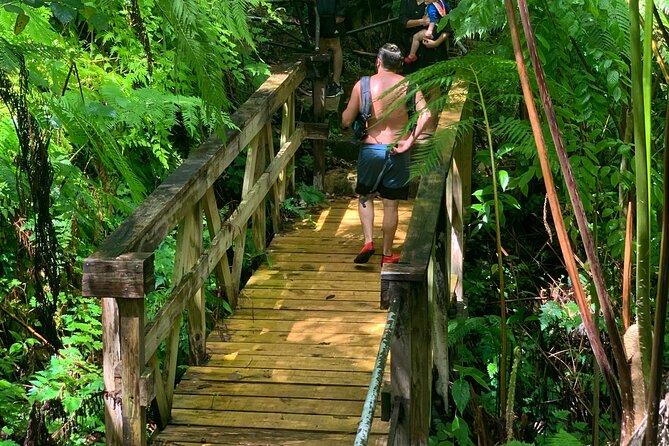El Yunque National Forest and Luquillo Beach Tour - What the $79 price really buys you