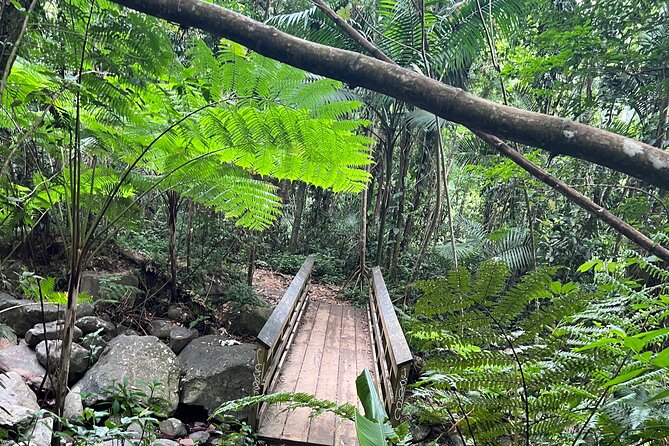 El Yunque National Forest Guided Tour with Transport - A practical way to reach El Yunque from San Juan