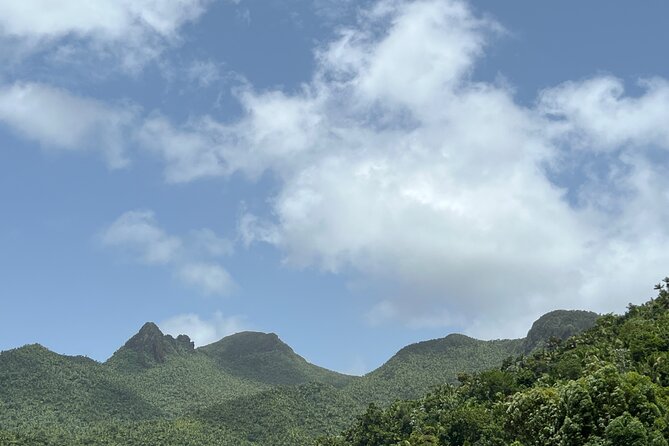 El Yunque National Forest Guided Tour with Transport - What the guides add to the experience