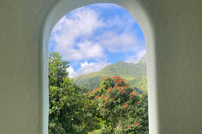 El Yunque National Forest Guided Tour with Transport - Is $80 a fair price?