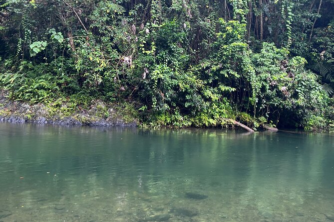 El Yunque National Forest Guided Tour with Transport - What to bring and how to prepare