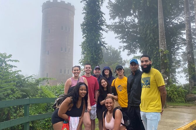 El Yunque National Forest Guided Tour with Transport - The waterfall view is quick, but still worthwhile