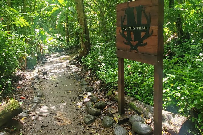 El Yunque National Rainforest and Luquillo Beach Tour - The 15-Minute Walk to Mameyes River
