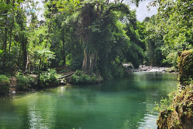 El Yunque National Rainforest and Luquillo Beach Tour - Who Should Book This Experience
