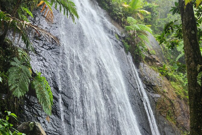 El Yunque National Rainforest and Luquillo Beach Tour - Yokahu Tower at Nearly 1,600 Feet