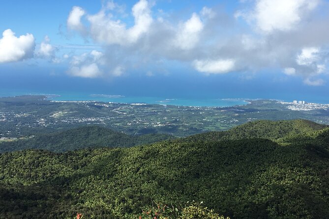 El Yunque Rainforest EZ-going Bus Tour (wheelchair accessible) - A gentle first look at El Yunque