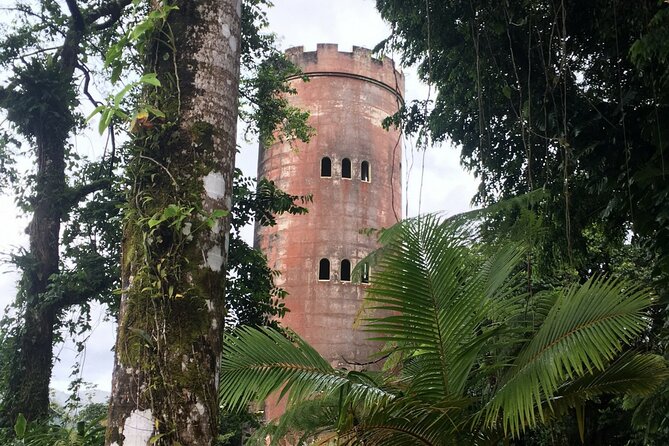 El Yunque Rainforest EZ-going Bus Tour (wheelchair accessible) - The guide can shape the whole day