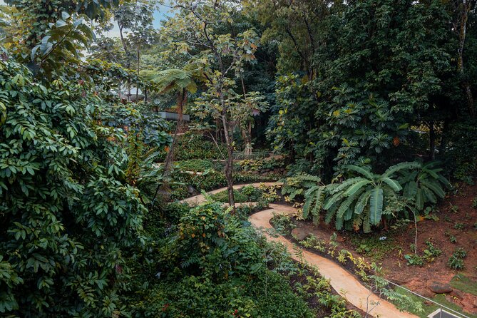 El Yunque Rainforest EZ-going Bus Tour (wheelchair accessible) - Seven stops with very different scenery