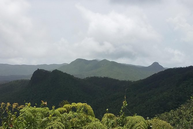 El Yunque Rainforest Full Day Private Tour - La Coca Falls, a quick stop with strong photo appeal