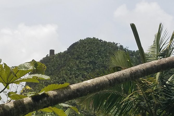 El Yunque Rainforest Full Day Private Tour - Yokahu Tower and the high view