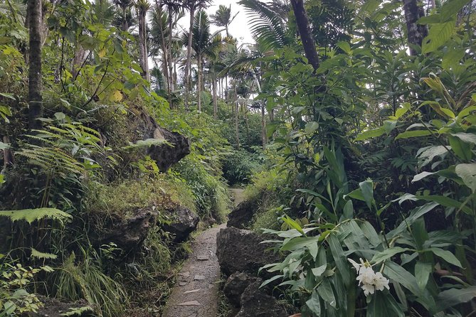 El Yunque Rainforest Full Day Private Tour - What Javier adds to the day
