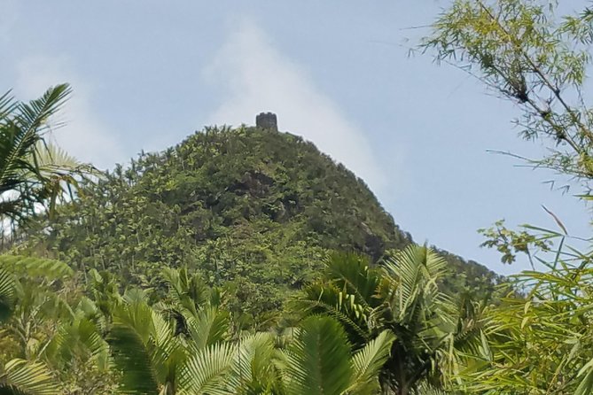 El Yunque Rainforest Full Day Private Tour - Lunch, snacks, and the practical side of seven hours