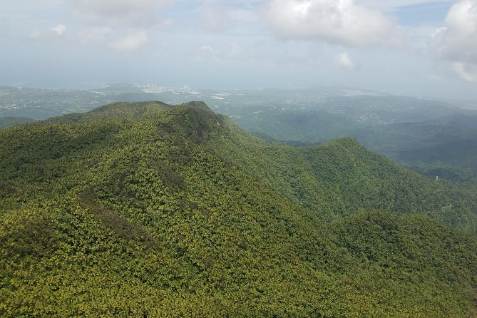 El Yunque Rainforest Full Day Private Tour - Is $333 per person a fair price?