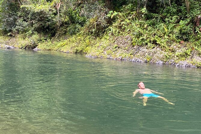El Yunque Rainforest Guided Day Tour from San Juan - Why this half-day El Yunque trip works
