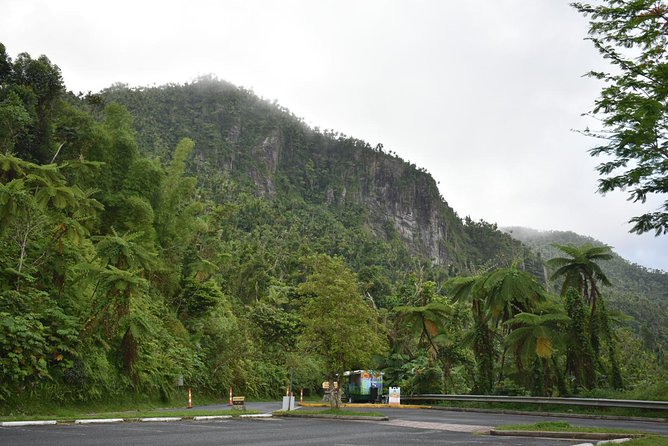 El Yunque Rainforest Guided Day Tour from San Juan - Mameyes II and the 45-minute forest walk