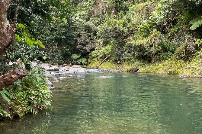 El Yunque Rainforest Guided Day Tour from San Juan - Yokahú Tower and the best view of the day